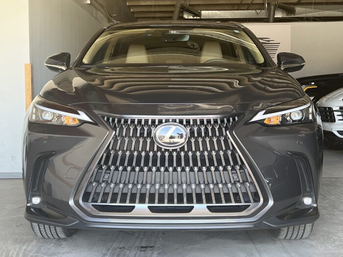 2025 LEXUS NX 350 LUXURY