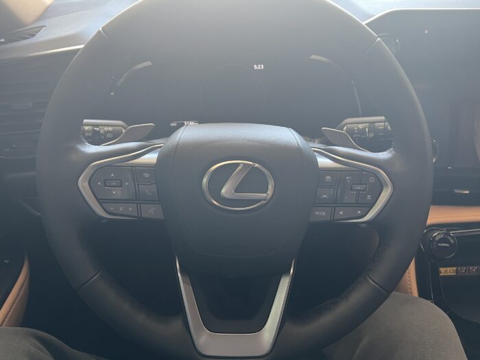 2025 LEXUS NX 350 LUXURY - Image 11