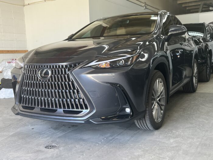 2025 LEXUS NX 350 LUXURY - Image 2